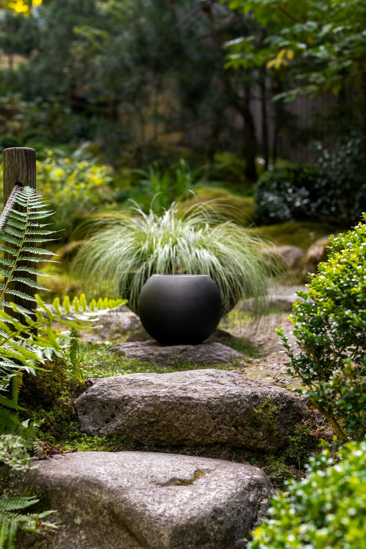 Vazonas BOWL