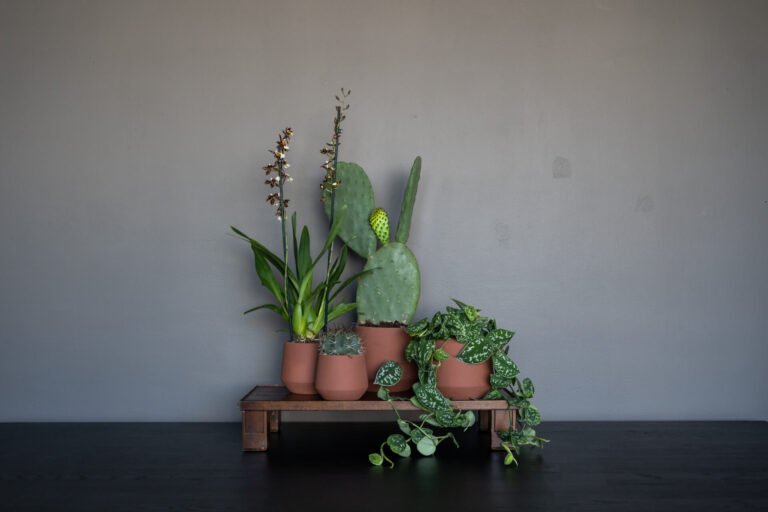 Ceramic