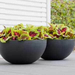 Vazonas VIC BOWL