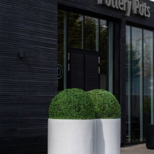 Dirbtinis augalas BOXWOOD ROUND