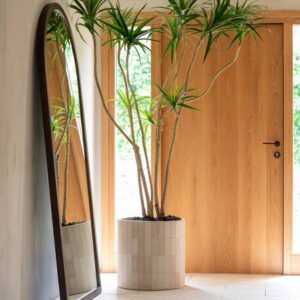 Dirbtinis augalas DRACAENA MARGINATA