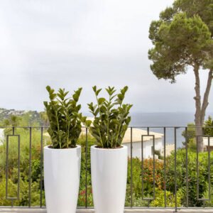 Dirbtinis augalas ZAMIOCULCAS