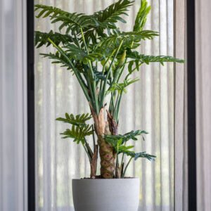 Dirbtinis augalas PHILODENDRON