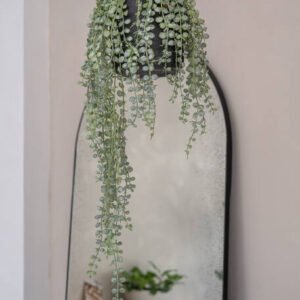 Dirbtinis augalas SENECIO