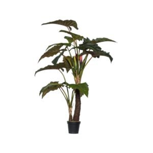 Dirbtinis augalas ALOCASIA