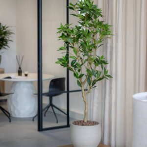 Dirbtinis medis PIERIS