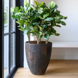 Dirbtinis augalas FICUS LYRATA