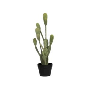 Dirbtinis augalas CACTUS OPUNTIA