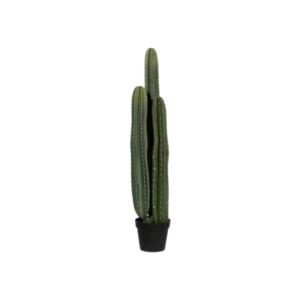 Dirbtinis augalas CACTUS SAN PEDRO