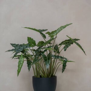 Dirbtinis augalas ALOCASIA TARO