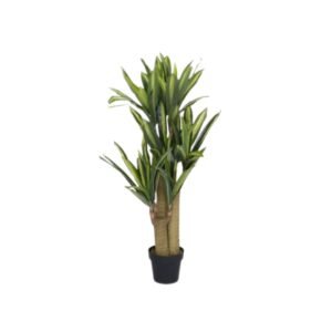 Dirbtinis augalas DRACAENA