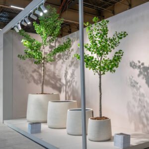 Dirbtinis medis GINKO BILOBA