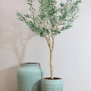 Dirbtinis medis OLEA EUROPAEA