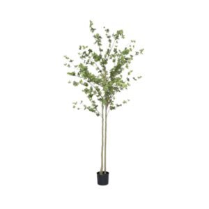 Dirbtinis augalas ENKIANTHUS PERULATUS