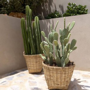 Dirbtinis augalas CACTUS OPUNTIA