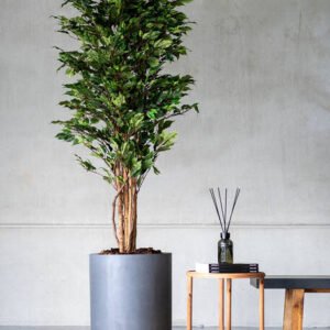 Dirbtinis augalas FICUS TREE