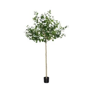 Dirbtinis medis FICUS TRIANGULARIS