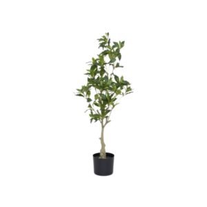 Dirbtinis medis PIERIS