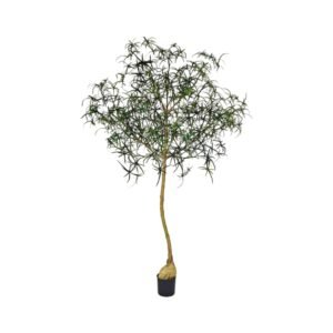 Dirbtinis medis QUEENSLAND BOTTLE TREE