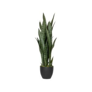 Dirbtinis augalas SANSEVIERIA