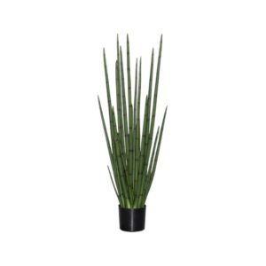 Dirbtinis augalas SANSEVIERIA CYLINDRICA