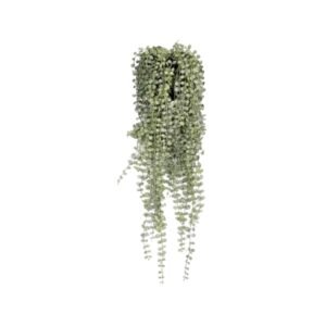 Dirbtinis augalas SENECIO